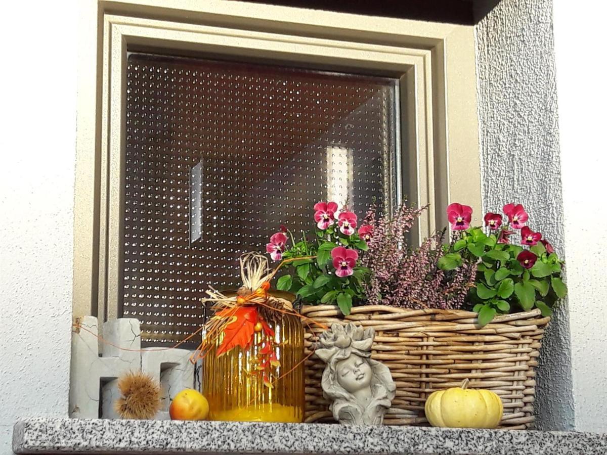 Ferienwohnung Am Gaesschen 罗斯海姆 外观 照片